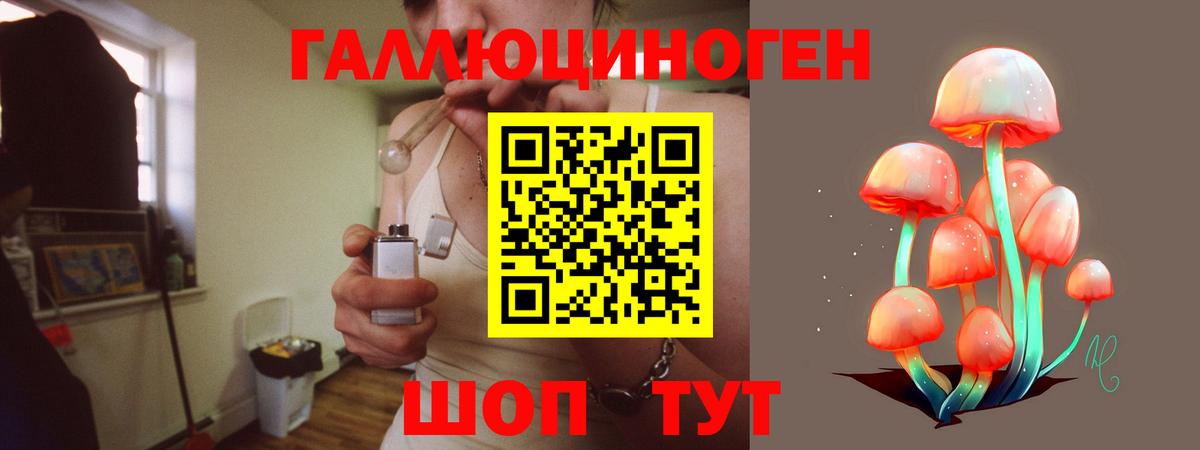 где купить наркоту  Вход с VPN  Нижнеудинск  Псилоцибиновые грибы MAGIC MUSHROOMS 