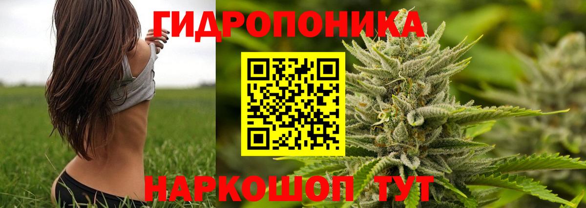 Бошки марихуана план  Конопля LSD WEED  Нижнеудинск  Бошки марихуана тримм  Вход с VPN 